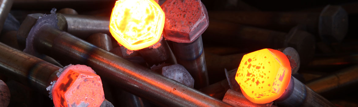 Metal forgings for industry